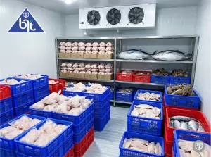 Daya Saing Bisnis dengan Cold Storage Custom: Freezer & Chiller Bergaransi dari BJT INDONESIA